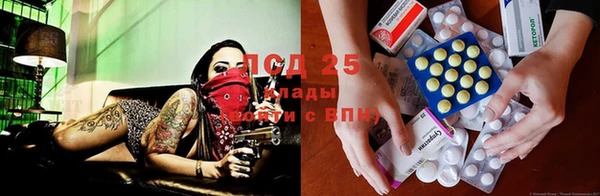 стаф Инсар