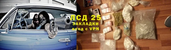 стаф Инсар