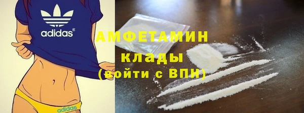 стаф Инсар