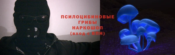 стаф Инсар