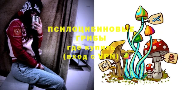 метадон Инта