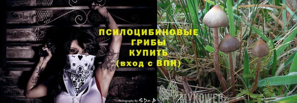 тгк Иннополис