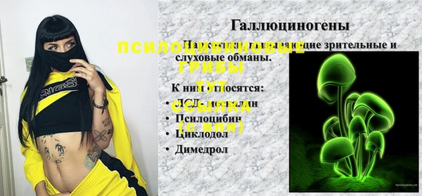 метадон Инта