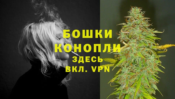 метадон Инта