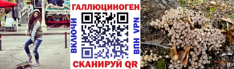 Купить  Кирс  Псилоцибиновые грибы Cubensis 